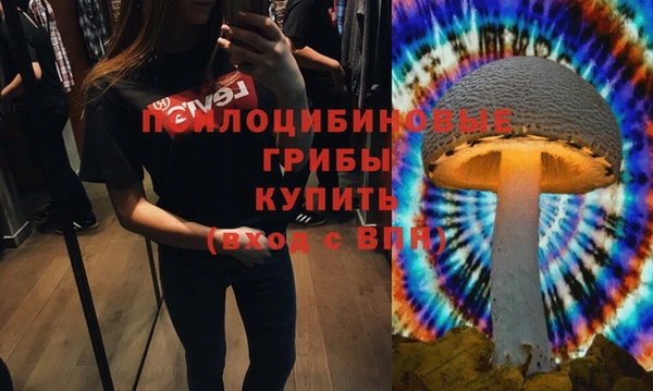 стафф Арсеньев