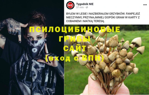 стафф Арсеньев