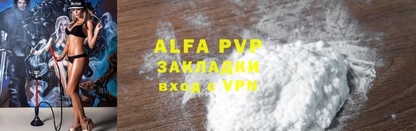 стафф Арсеньев