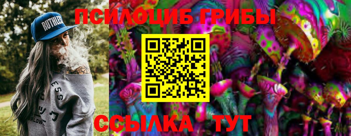 Галлюциногенные грибы Cubensis  Вход с VPN  Аша 