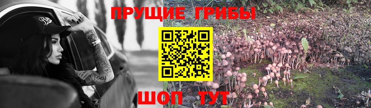 Псилоцибиновые грибы MAGIC MUSHROOMS Аша