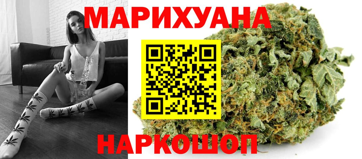 Каннабис планчик Аша